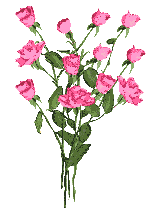 bouqueofpinkroses :bouqueofpinkroses: